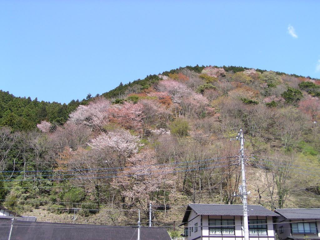 Irorino Yado Sankichi Hotel อิซุ ภายนอก รูปภาพ